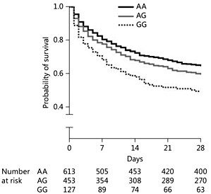 survival curves for the septic shock patients by the IL20 rs2981573 genotype.jpg